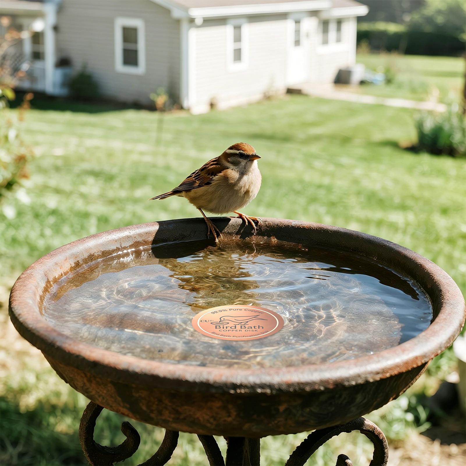Farming A - Bird Bath Copper Disk 0.6mm Thick