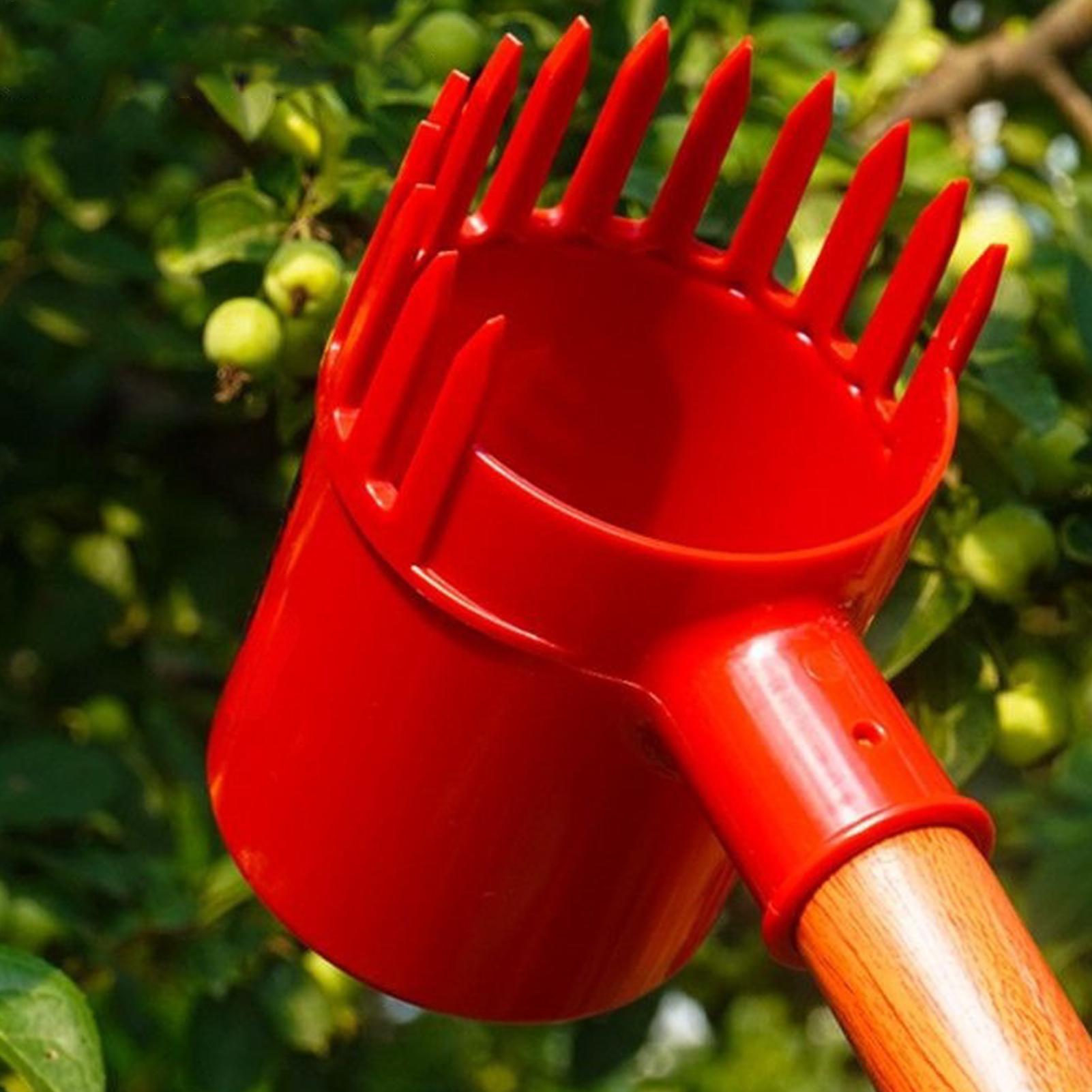 Agriculture Tomato Farming - Fruits Picker Portable Harvesting Tool Orchard