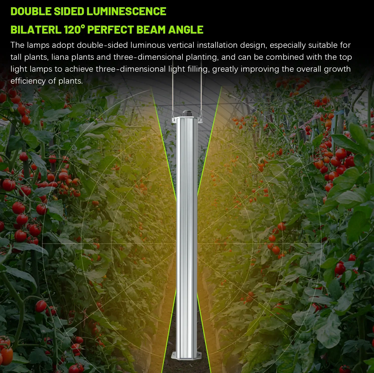 Agriculture Tomato Farming - Best ETL Listed Plant Green Wall