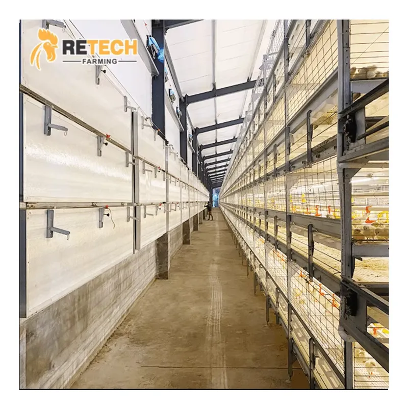 Farming Africa - Automatic H Type Broiler Chicken Cage