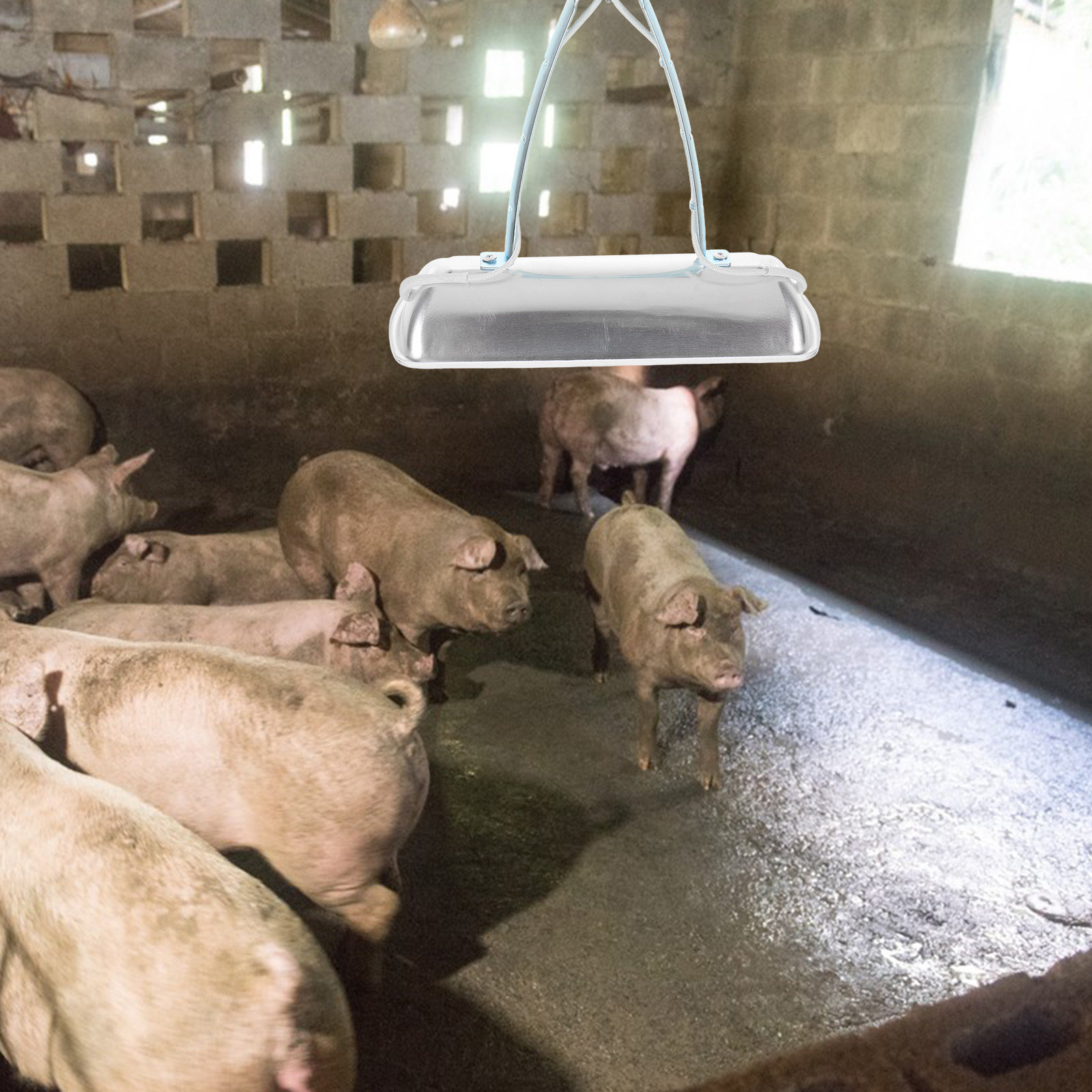 Farming A - Pig Farm Preservation Lamp Chicken Brooder