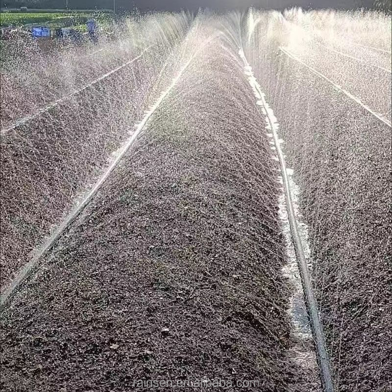 2Mm PE Flat Sprinkler Pipe - M - Farming Pipe For Agriculture 评论和价格