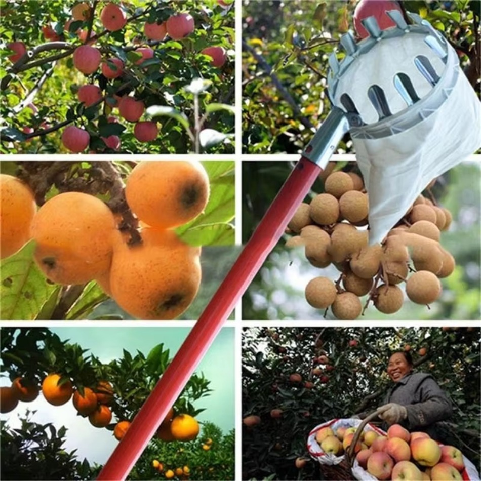 Multi Purpose Telescopic Galva - Agriculture Farming Tool 评论和价格