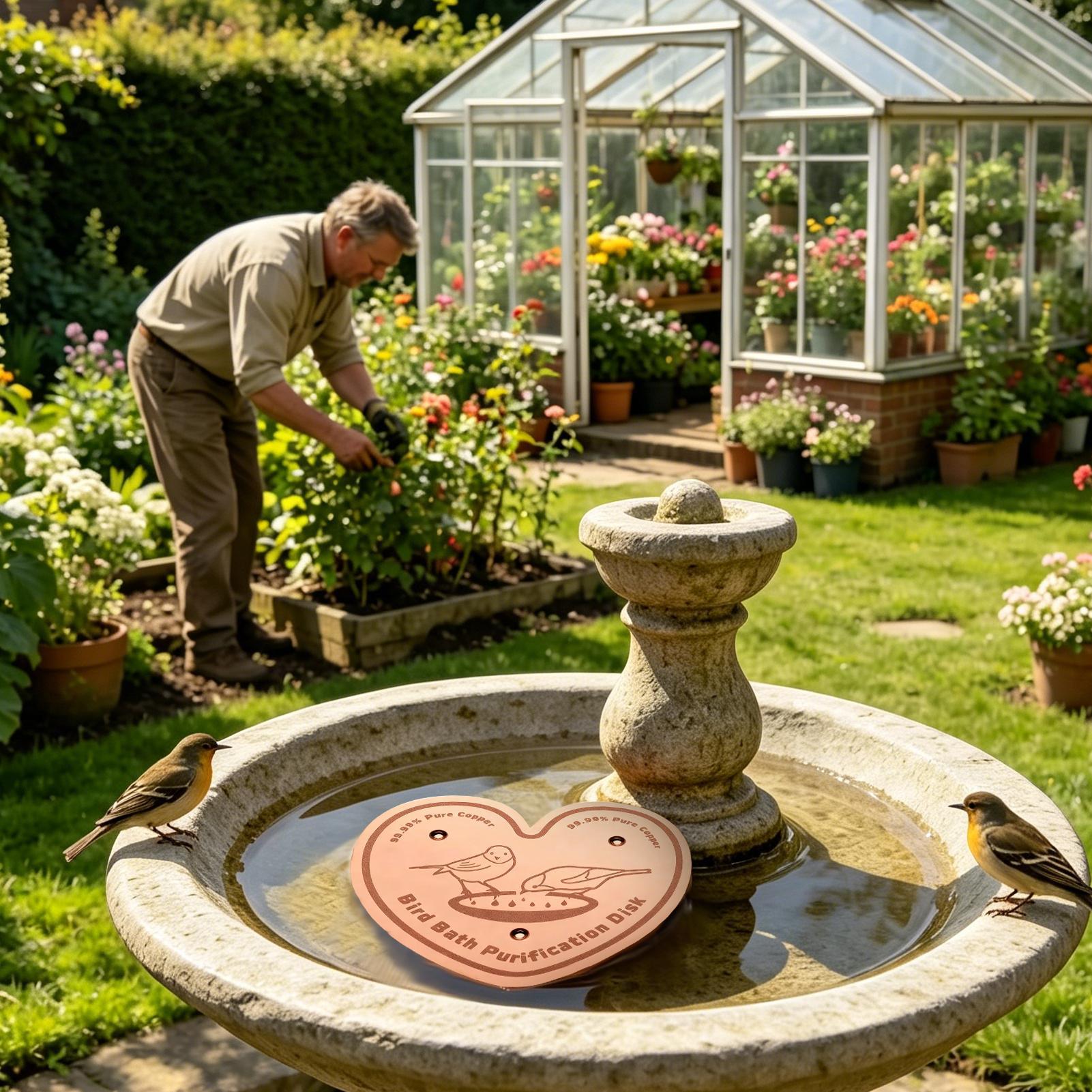Bird Bath Cleaner Disc Solid M - Farming A 评论和价格