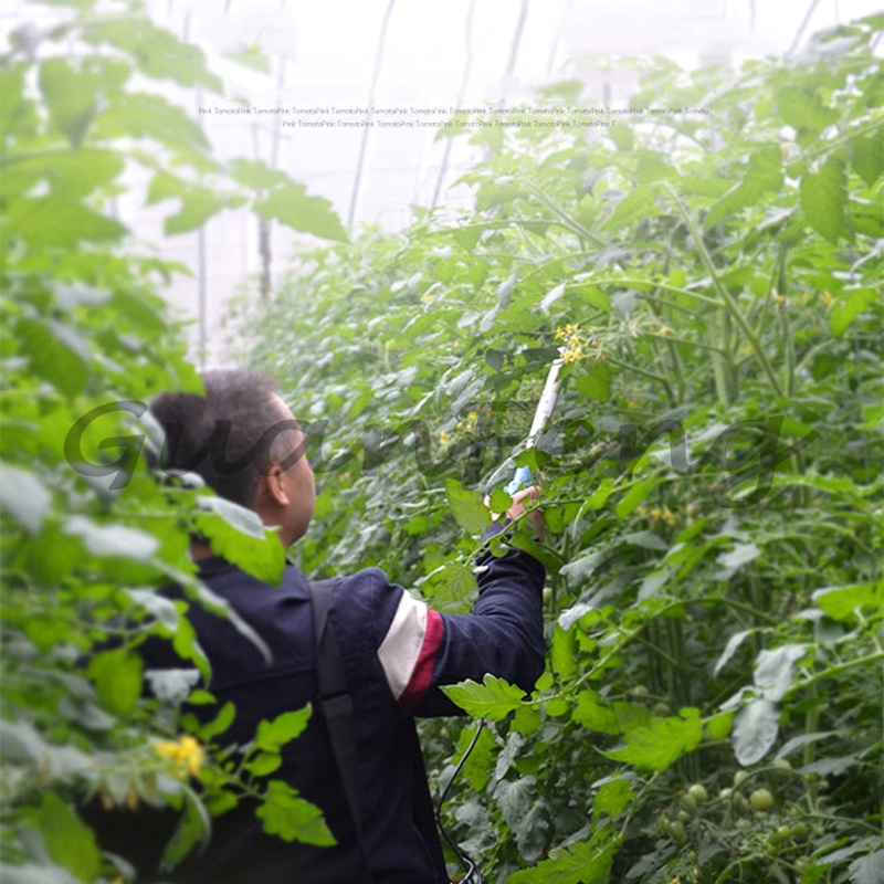 220V‑50Hz 6A Electric Vibratio - Agriculture Tomato Farming 评论和价格