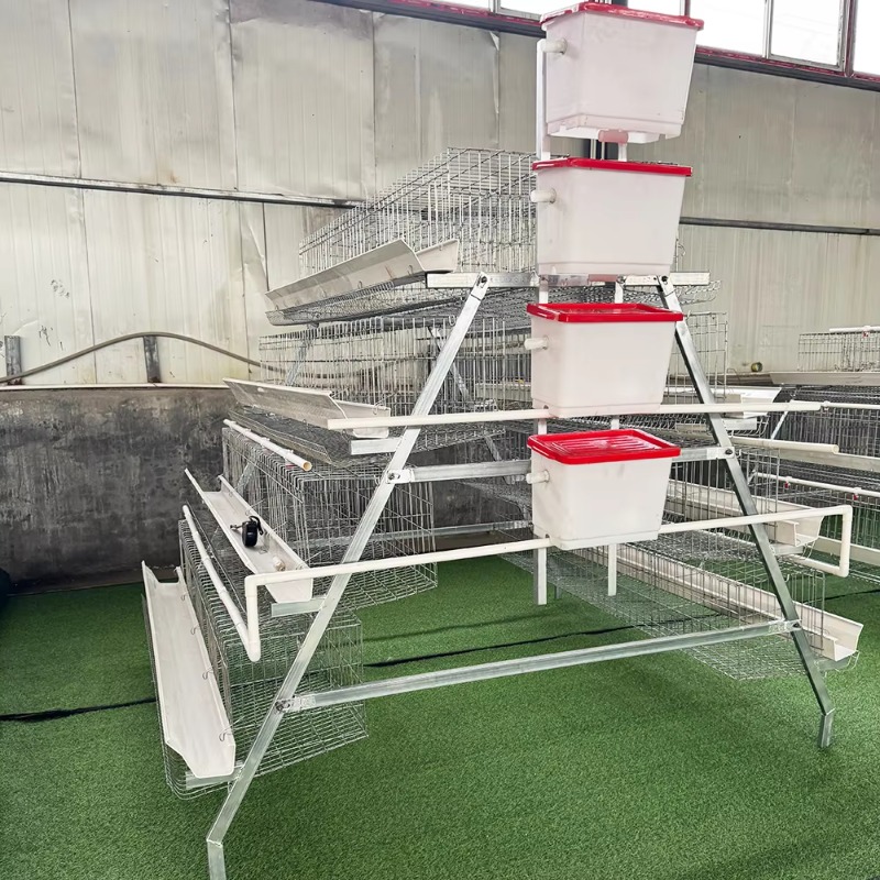 Cheap Price Poultry Farm 10000 - Farming Africa 评论和价格