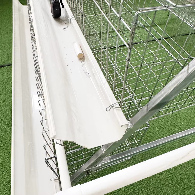 Cheap Price Poultry Farm 10000 - Farming Africa 评论和价格