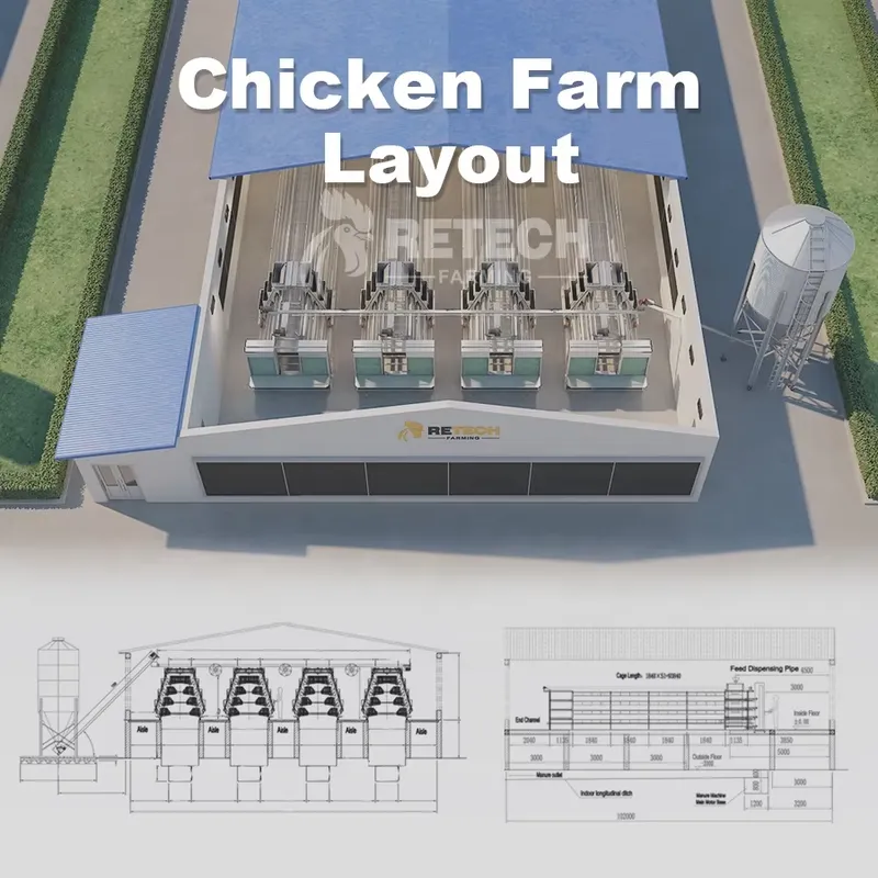 Automatic Layer Chicken Cage A - Farming Africa 评论和价格