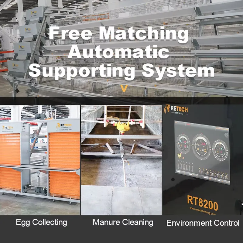 Automatic Layer Chicken Cage A - Farming Africa 评论和价格