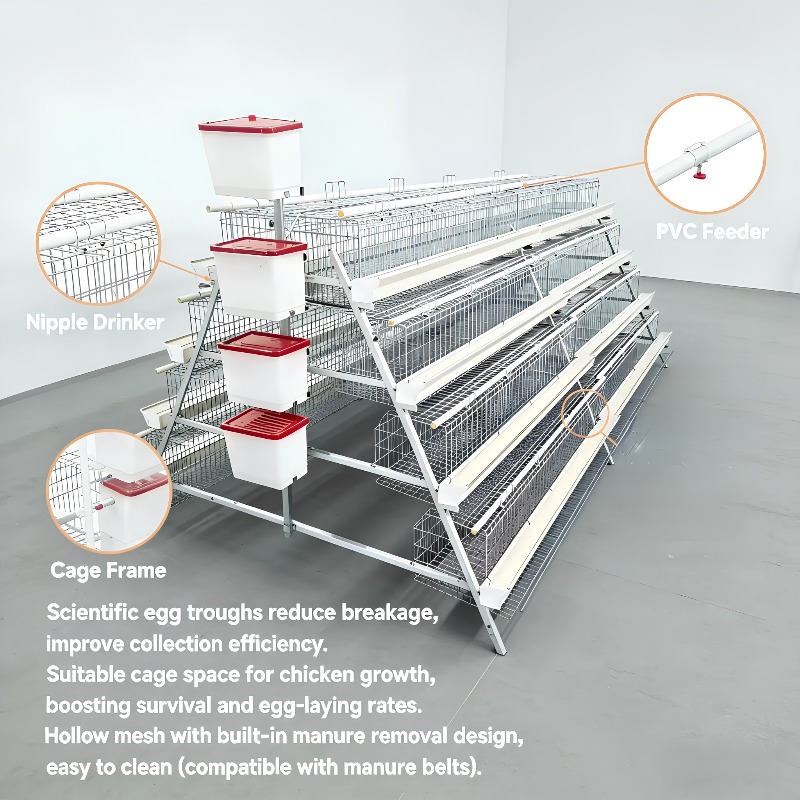  chicken coop New Africa a Typ - Farming Africa 评论和价格