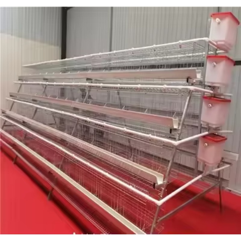  chicken coop New Africa a Typ - Farming Africa 评论和价格
