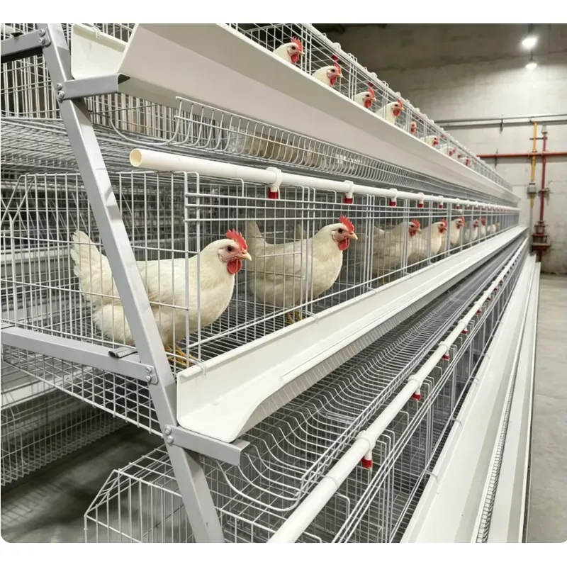 A Type Battery Layer Cage Full - Farming Africa 评论和价格