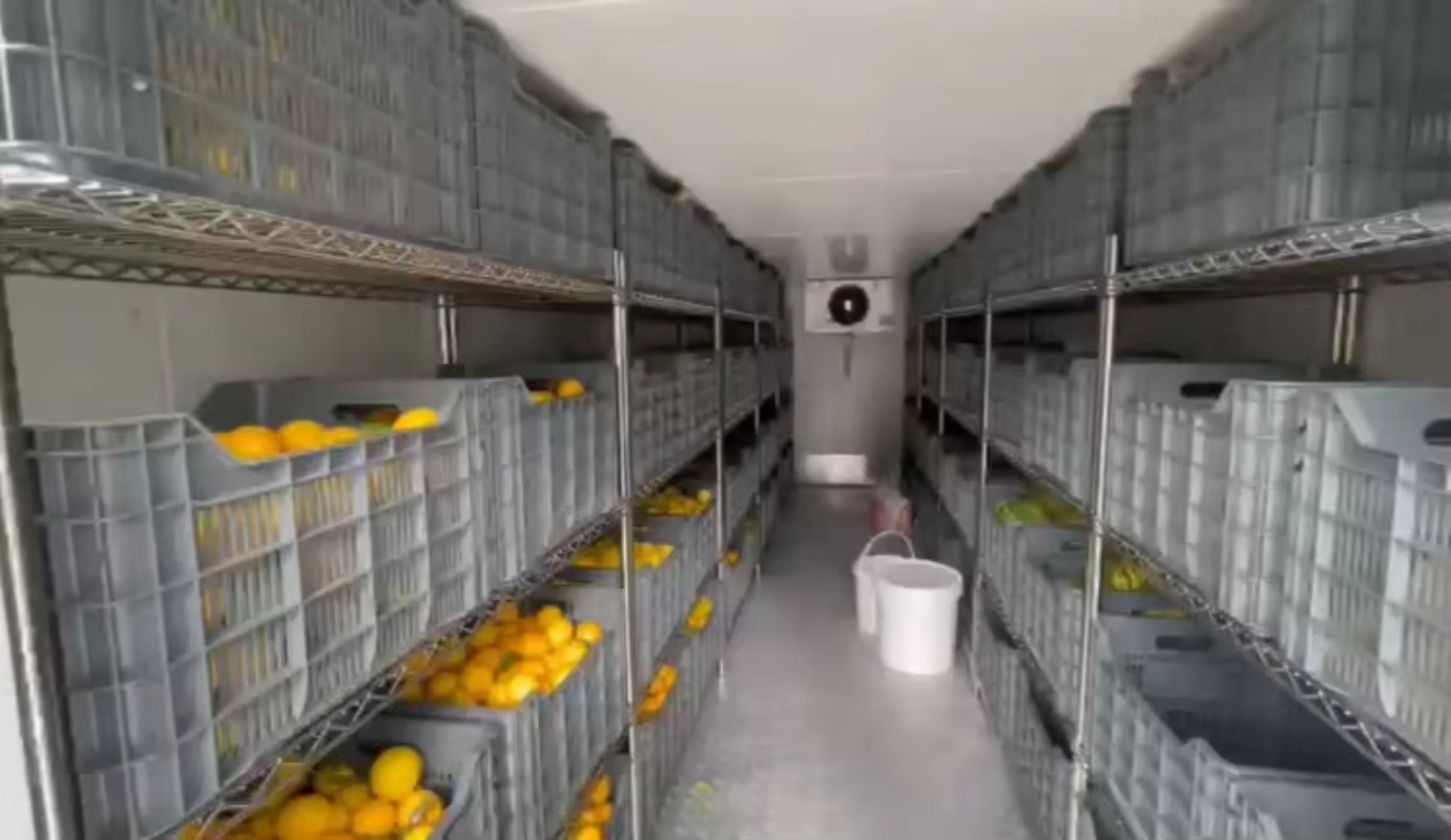 Solar Walk in Cold Storage Roo - Farming Africa 评论和价格
