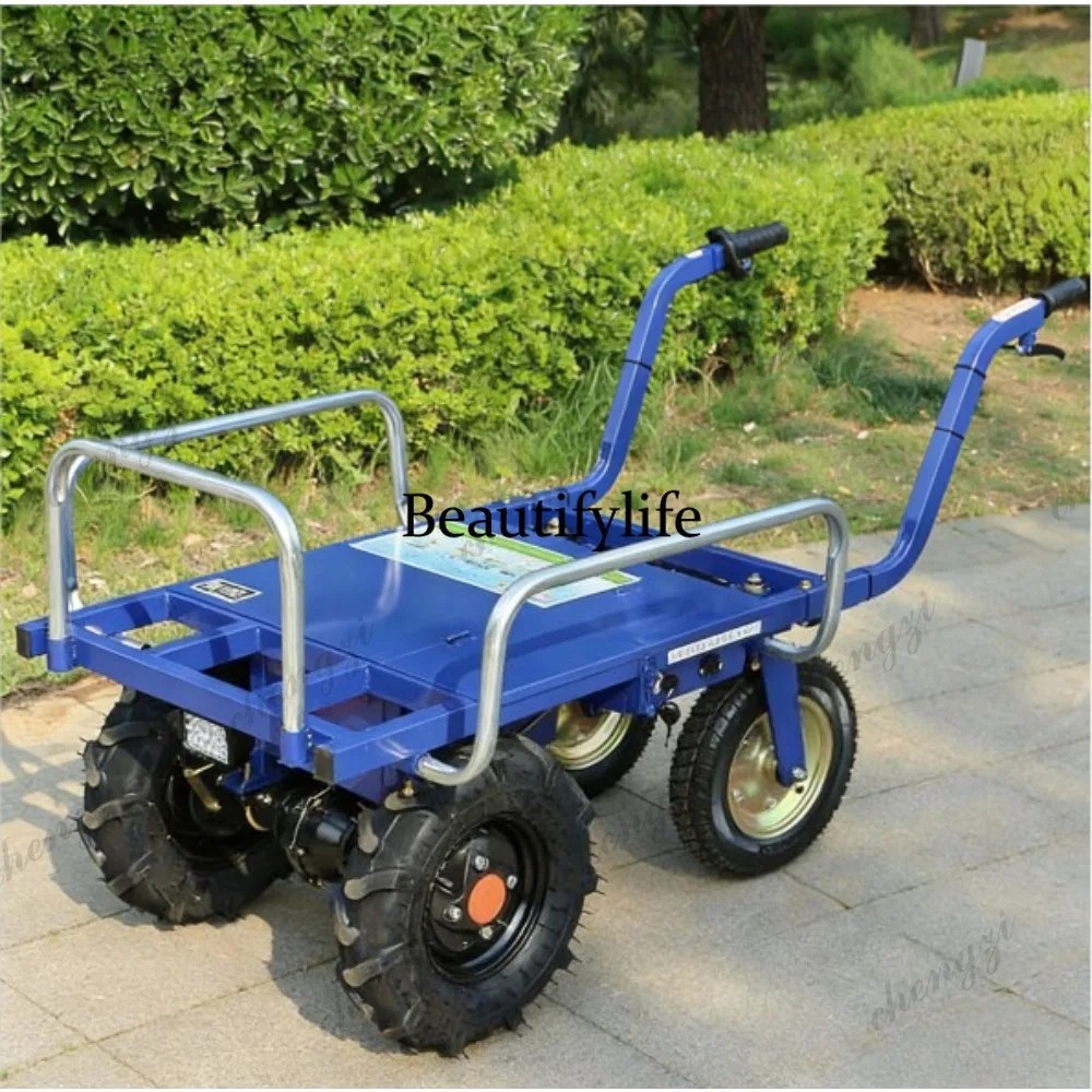 a55  Electric Tricycles and Fo - Agriculture Farming And Livestock 评论和价格