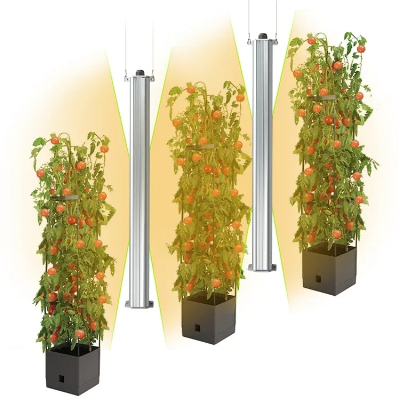 Best ETL Listed Plant Green Wa - Agriculture Tomato Farming 评论和价格