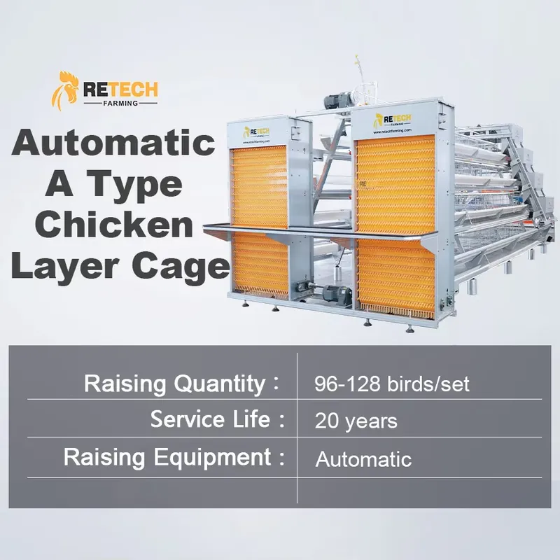 Automatic Egg Layer Chicken Ca - Farming Africa 评论和价格