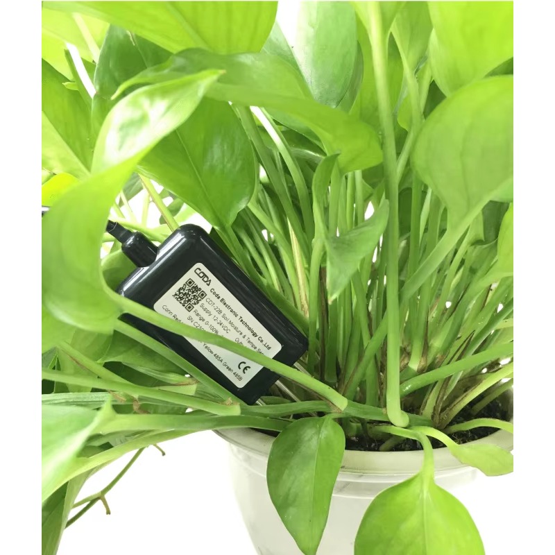 CDT-30B Rs485 0-2v Output Plan - Soil Moisture Sensor 评论和价格