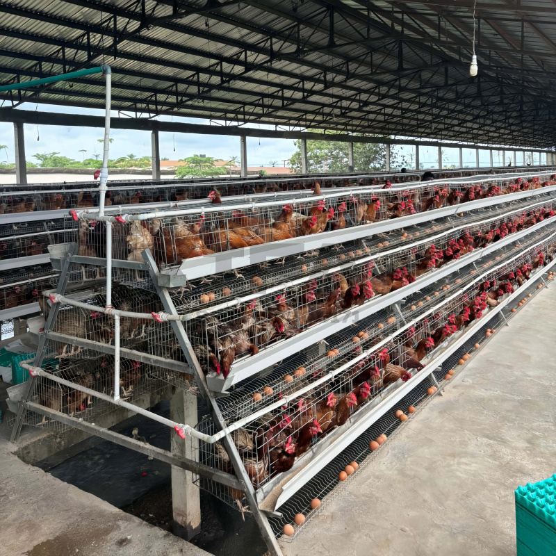 Machinery Sale In South Africa - Farming Africa 评论和价格
