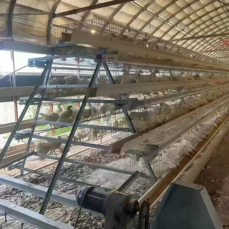 Machinery Sale In South Africa - Farming Africa 评论和价格