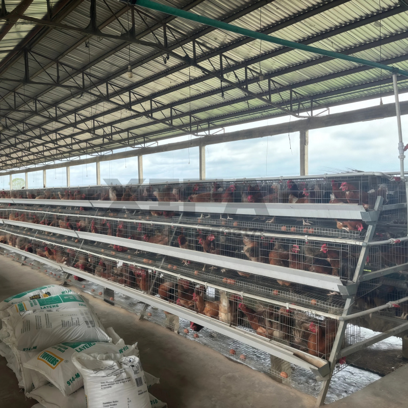 Machinery Sale In South Africa - Farming Africa 评论和价格
