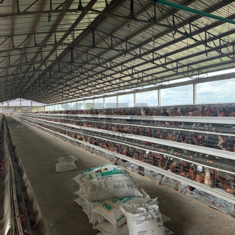 Machinery Sale In South Africa - Farming Africa 评论和价格