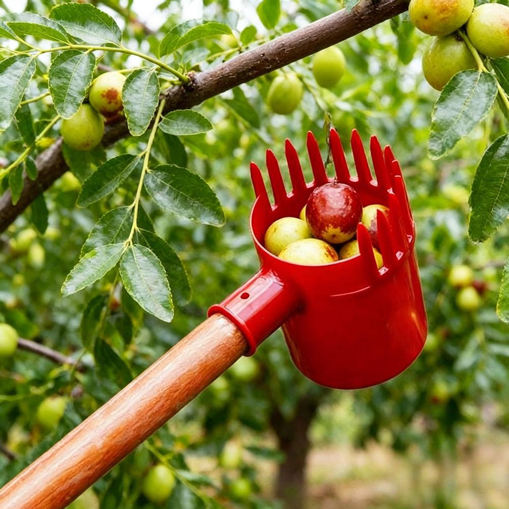 1pc Small Fruits Picker Portab - Agriculture Tomato Farming 评论和价格