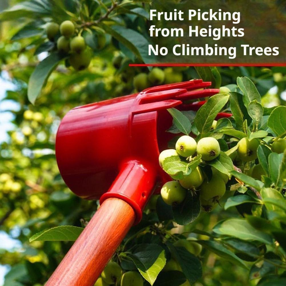 Fruits Picker Portable Harvest - Agriculture Farming Tool 评论和价格