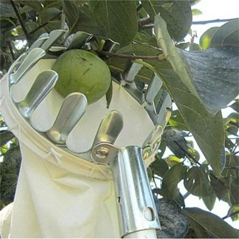 Farm Fruit Picker Garden Orcha - Agriculture Farming Tool 评论和价格