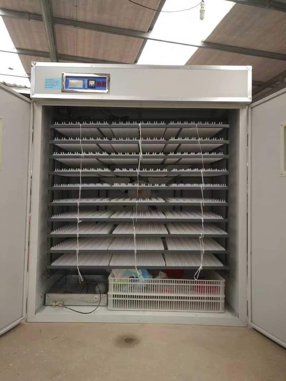 Solar Power 1056 Farming Egg I - Farming Africa 评论和价格